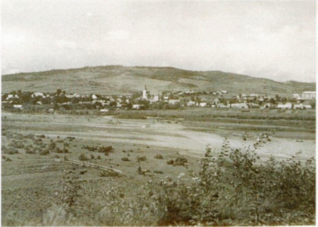 57.jpg