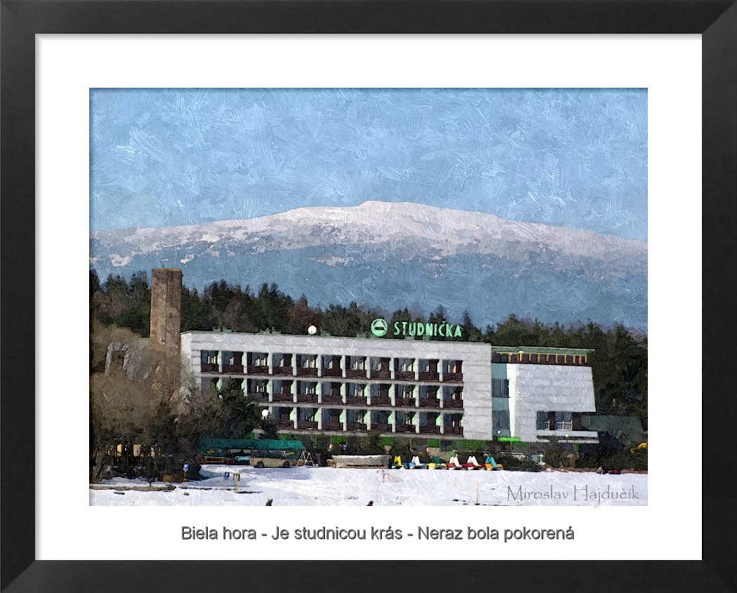 FotoSketcher - ostrovebruár2010 041.jpg